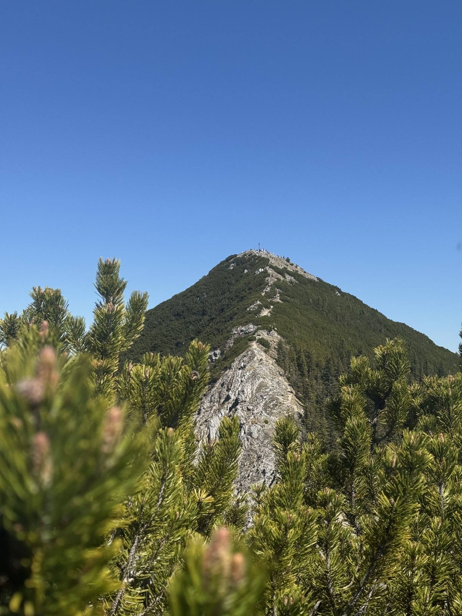 Berglandschaft mit See